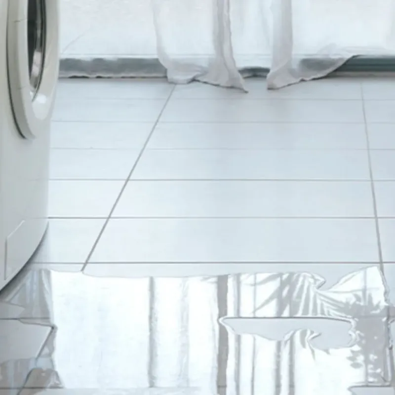 Appliance Leak Cleanup in Purdy, WA