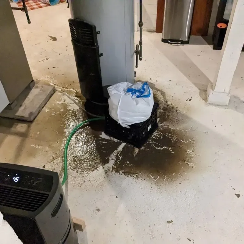 Sewage Backup Cleanup Service in Purdy, WA